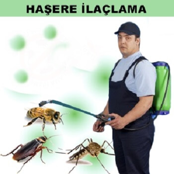 Şabanözü Böcek İlaçlama